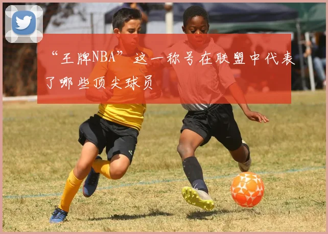 “王牌NBA”这一称号在联盟中代表了哪些顶尖球员