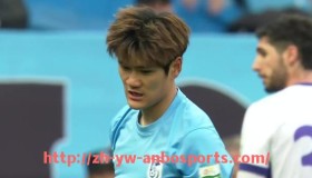 安博体育官网-法甲2025赛季外援引进情况与总人数统计结果